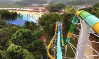 在建造水上乐园时如何进行竞标?